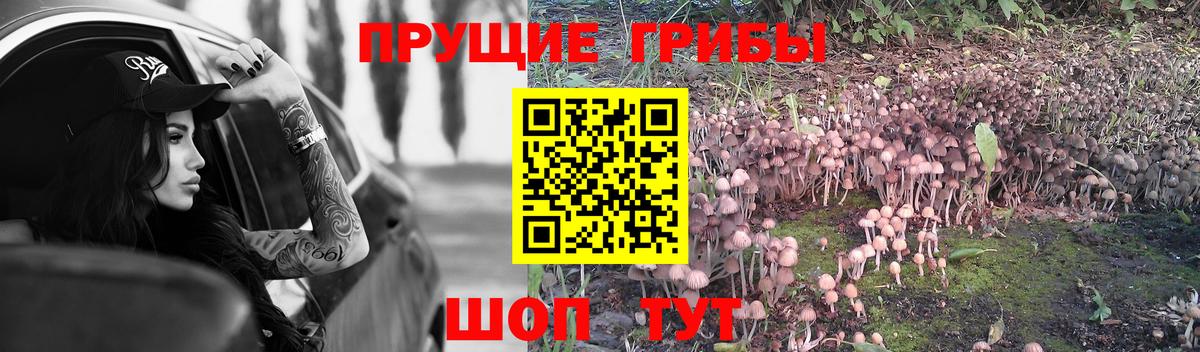 Псилоцибиновые грибы мухоморы Кемерово