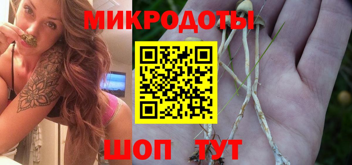 Кемерово  где продают   Вход с VPN  Галлюциногенные грибы прущие грибы 