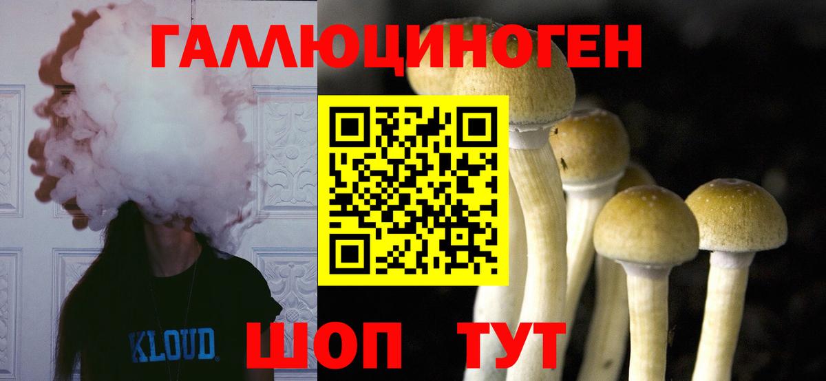 Бошки Шишки  Кемерово  Alpha-PVP СК   Меф МЯУ МЯУ кристаллы  COCAIN  ГАШ  Конопля  Вход с VPN 